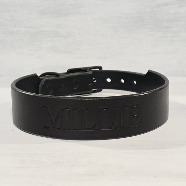 Black Wide Tapered Dusty leather dog collar – 1.5" handmade full-grain bridle leather with solid brass hardware