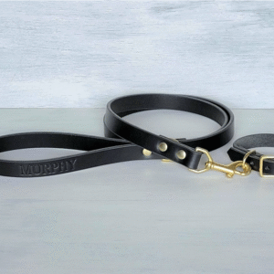 Black leather dog leash with brass D-ring handle, handmade in Texas