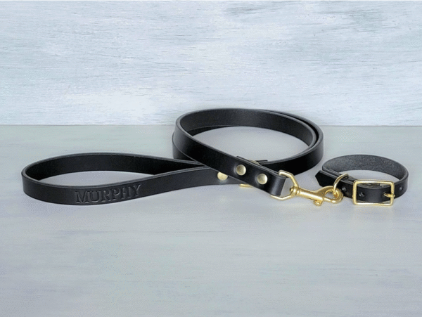 Black leather dog leash with brass D-ring handle, handmade in Texas
