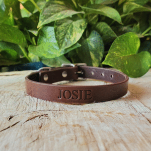 Brown full-grain leather dog collar with solid brass buckle and custom name stamp, handmade in Texas