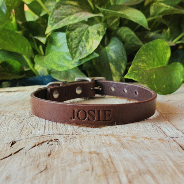 Brown full-grain leather dog collar with solid brass buckle and custom name stamp, handmade in Texas