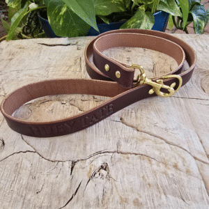 Brown leather dog leash with solid brass hardware and D-ring handle, handmade in Texas