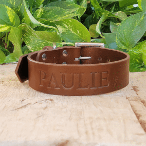Brown Wide Dusty leather dog collar – 1.5" non-tapered handmade full-grain bridle leather with heel bar buckle and brass hardware