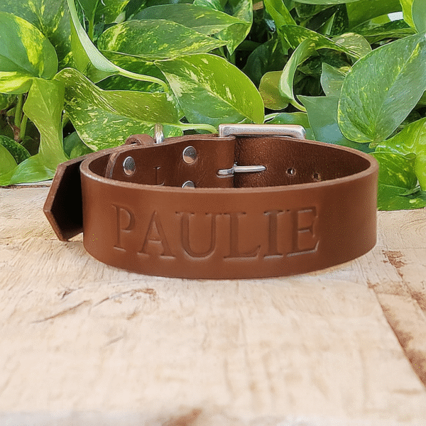 Brown Wide Dusty leather dog collar – 1.5" non-tapered handmade full-grain bridle leather with heel bar buckle and brass hardware
