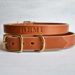 Tan Slim Dusty leather dog collar – handmade 3/4" full-grain bridle leather with solid brass hardware
