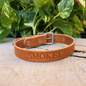 Tan full-grain leather dog collar with solid brass hardware and custom name stamp, handmade in Texas