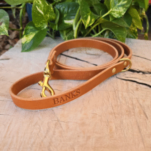 Tan leather dog leash with solid brass hardware and D-ring handle, handmade in Texas