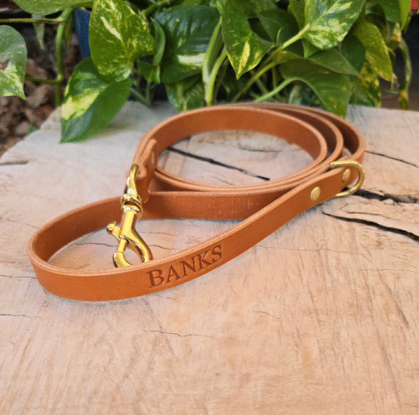 Tan leather dog leash with solid brass hardware and D-ring handle, handmade in Texas