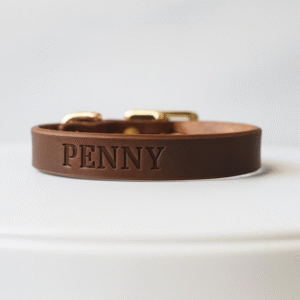 5/8-inch brown leather dog collar for toy breeds with brass buckle