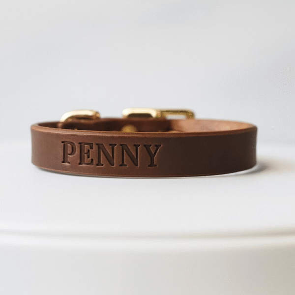 5/8-inch brown leather dog collar for toy breeds with brass buckle