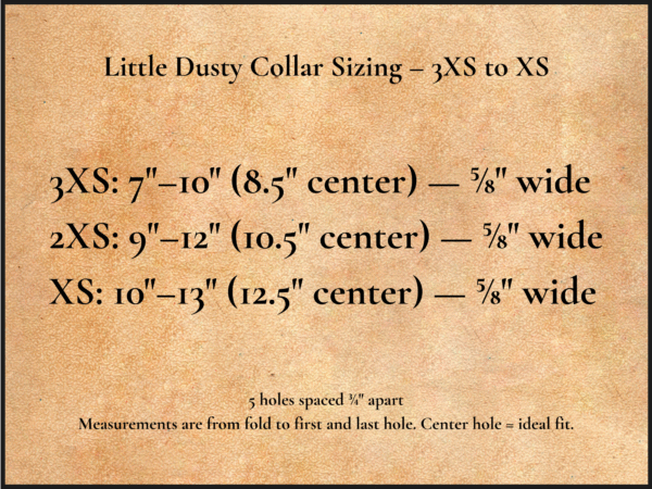 The Little Dusty Natural Collar – 5/8" Full-Grain Leather Dog Collar, Handmade in the USA - Image 3
