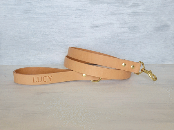 Natural full-grain leather dog leash with brass hardware and D-ring handle, handmade in Texas