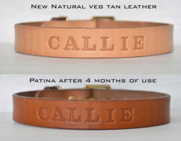 The Natural Dusty Collar – Full Grain Bridle Leather Dog Collar, Handmade in the USA - Image 5