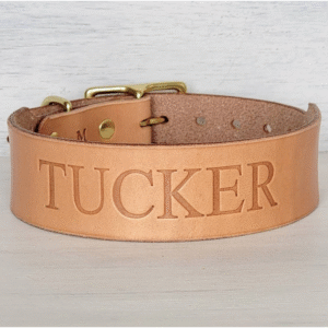 Natural Wide Tapered Dusty leather dog collar – 1.5" handmade full-grain leather with solid brass hardware