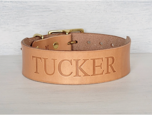 Natural Wide Tapered Dusty leather dog collar – 1.5" handmade full-grain leather with solid brass hardware