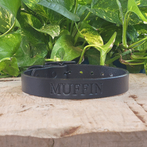 Black full-grain leather dog collar with brass buckle and custom name stamp, handmade in Texas