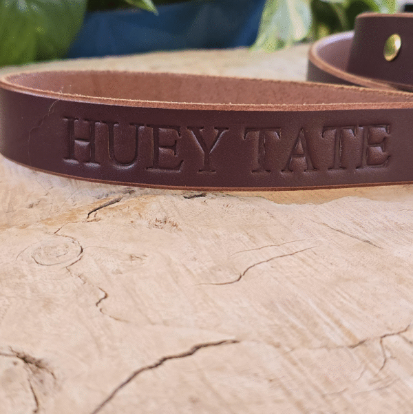 The Brown Dusty Leash – Full-Grain Bridle Leather Dog Leash, Handmade in the USA - Image 3