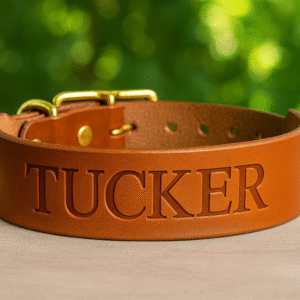 Tan Wide Tapered Dusty leather dog collar – 1.5" handmade full-grain bridle leather with solid brass hardware