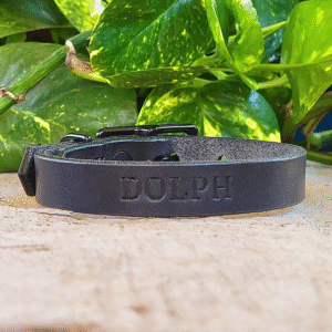 Little black leather dog collar with black hardware, handmade in Texas