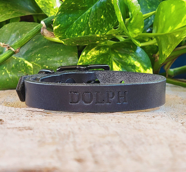 Little black leather dog collar with black hardware, handmade in Texas