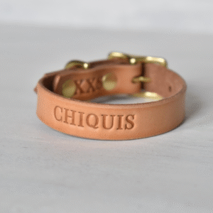 Small natural leather dog collar with brass hardware, engraved with “CHIQUIS”