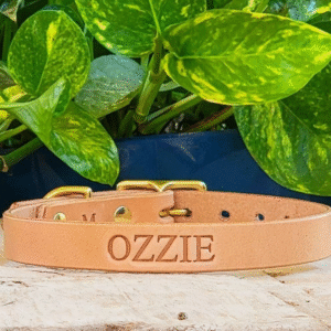Natural Slim Dusty leather dog collar – handmade 3/4" full-grain bridle leather with solid brass hardware