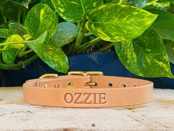 Natural Slim Dusty leather dog collar – handmade 3/4" full-grain bridle leather with solid brass hardware